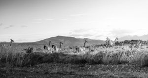 Puerto Natales, Chile: Gateway to Torres del Paine
